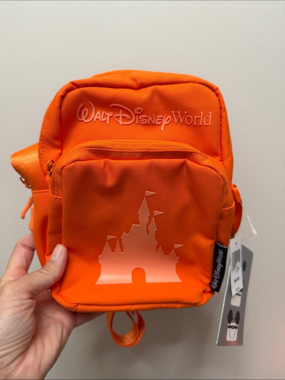 Disney Parks Crossbody with ear holder